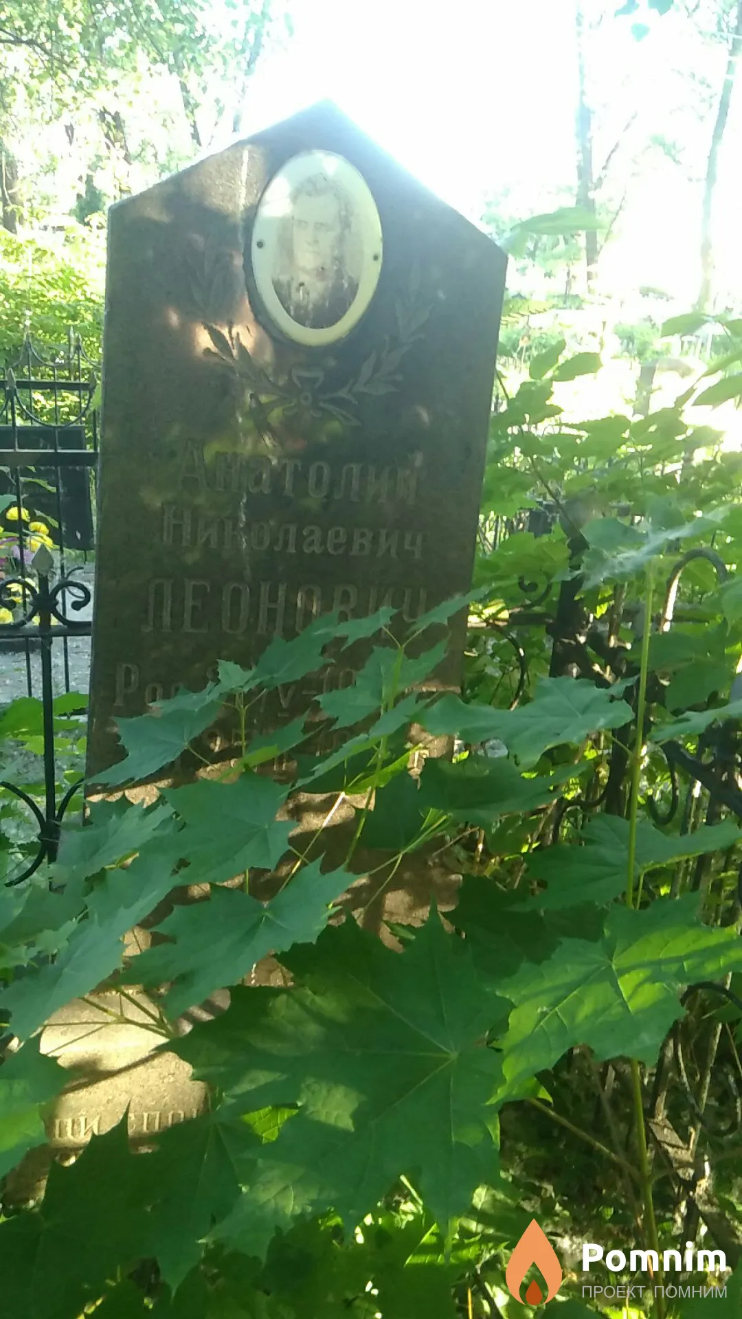 Леонович Анатолий Николаевич