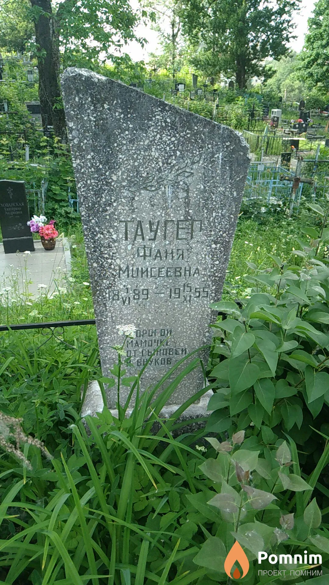 Таугер Фаня Моисеевна