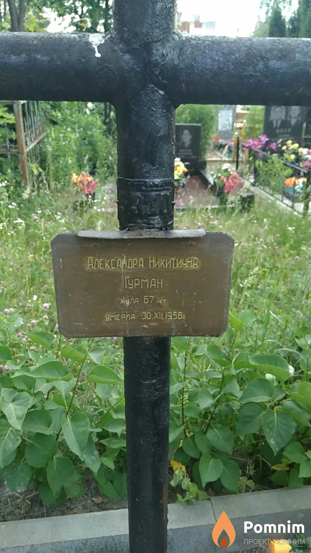 Гурман Александра Никитична