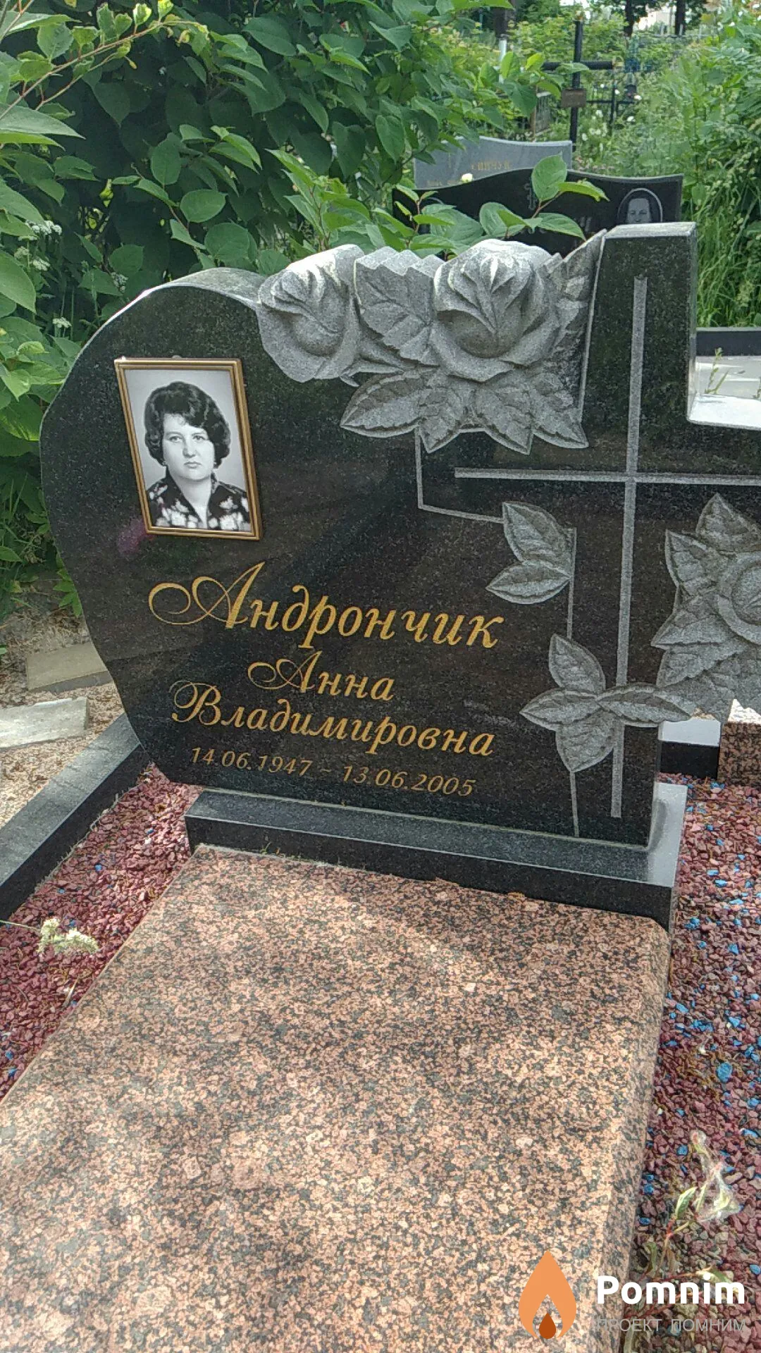 Андрончик Анна Владимировна