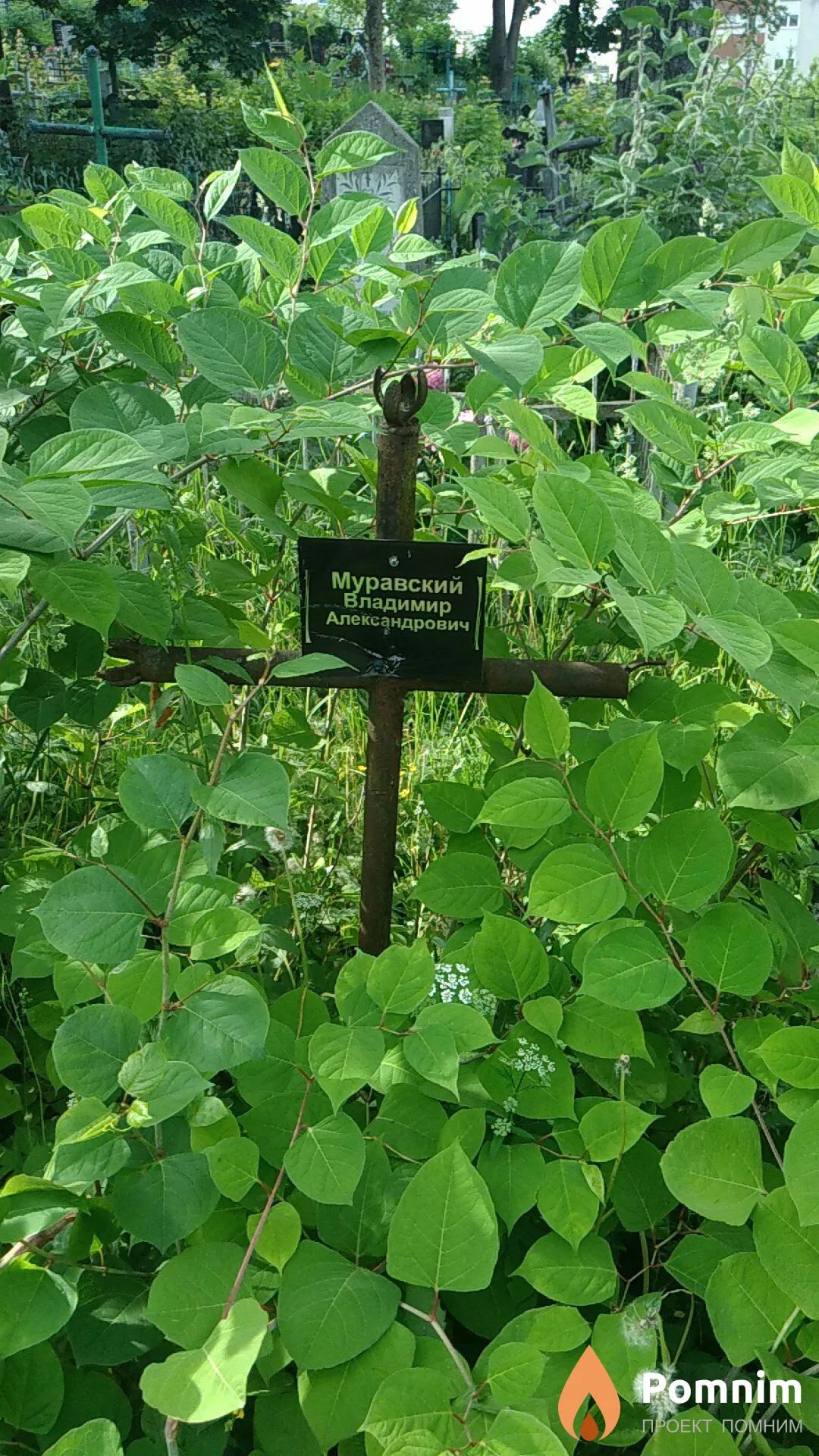 Муравский Владимир Александрович