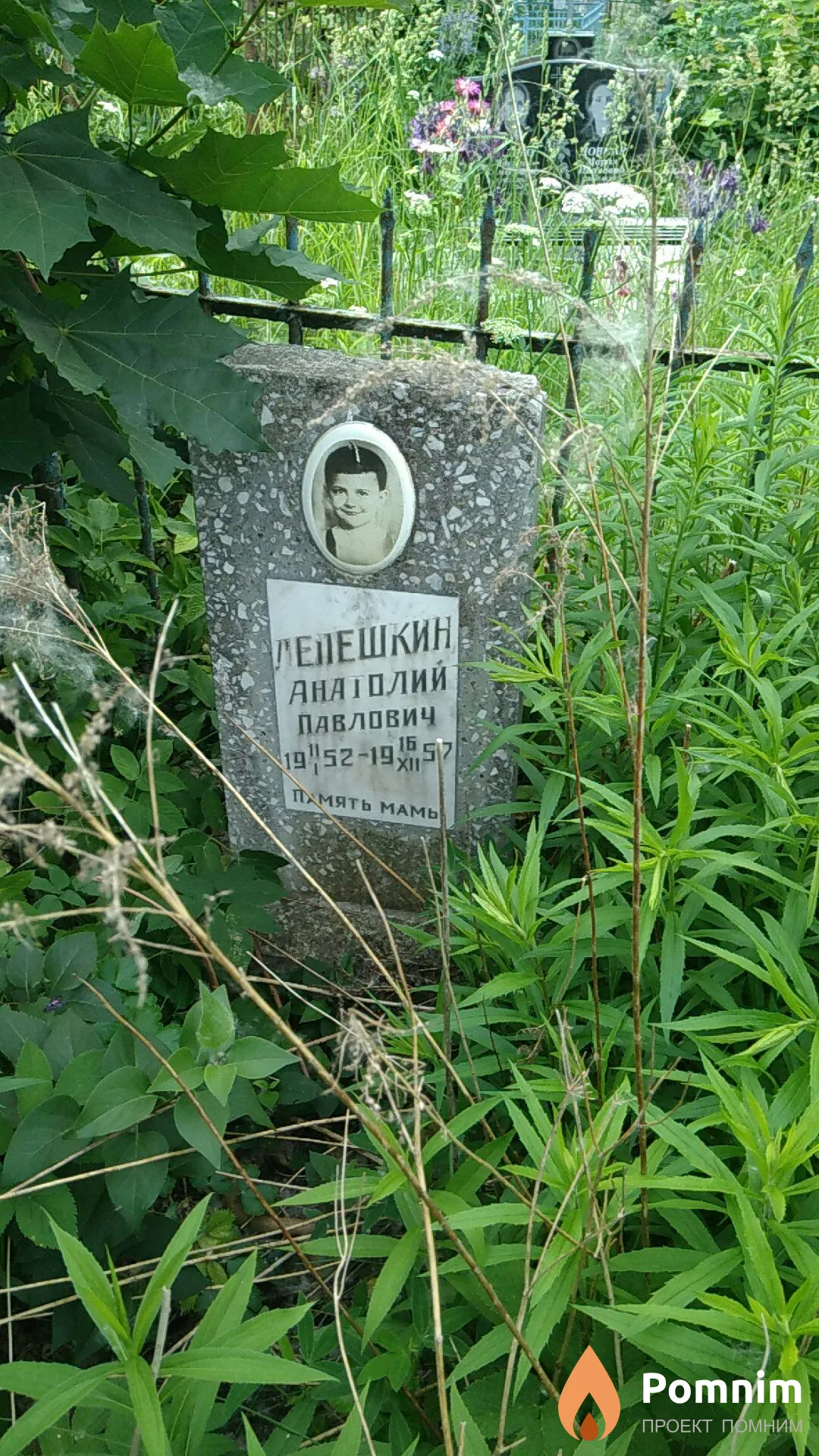 Лепешкин Анатолий Павлович