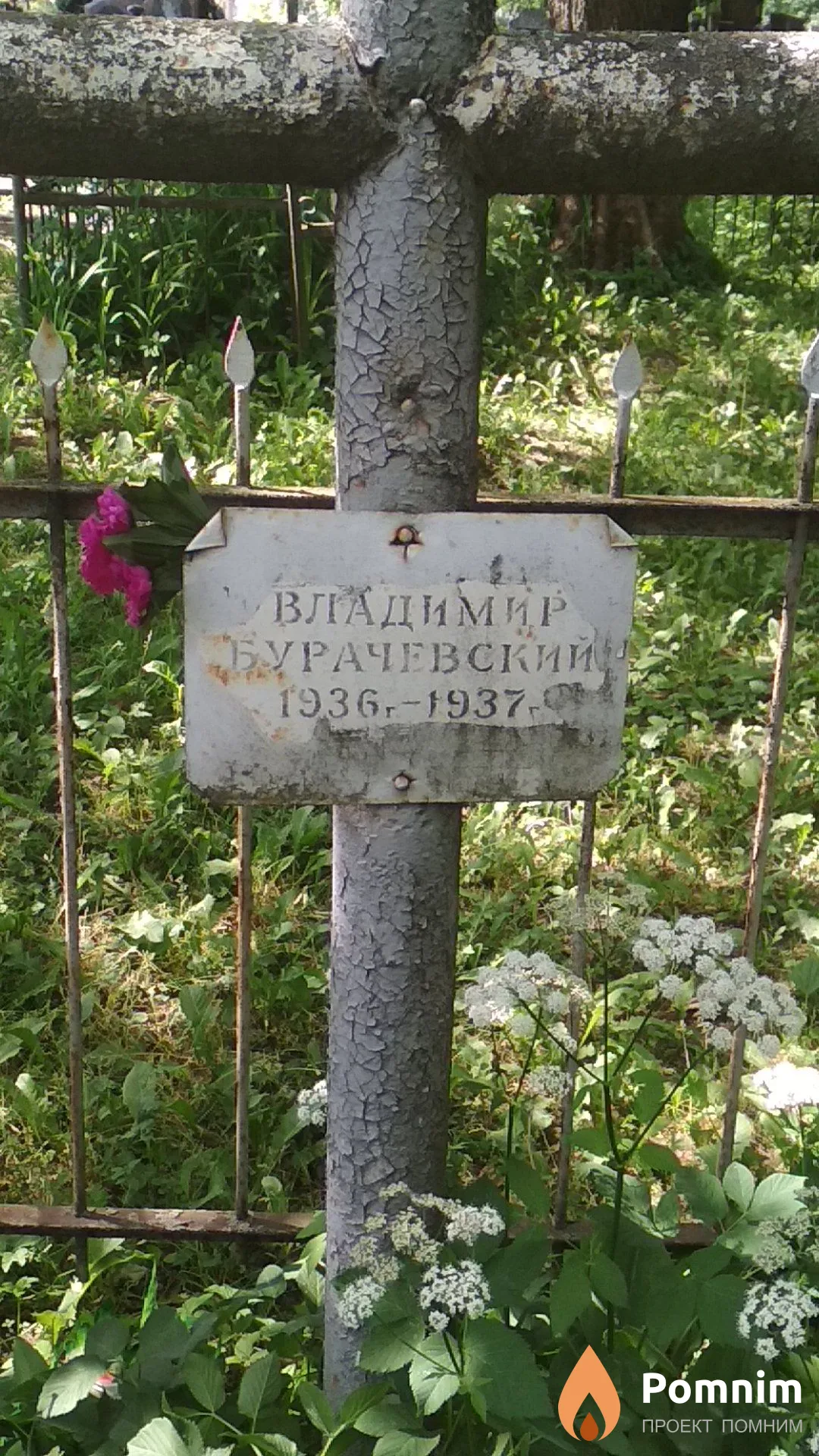 Бурачевский Александр