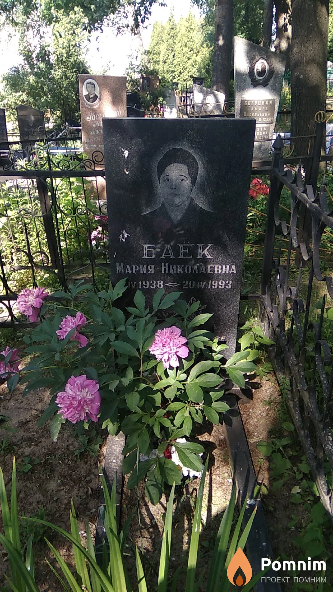 Баек Александр Александрович