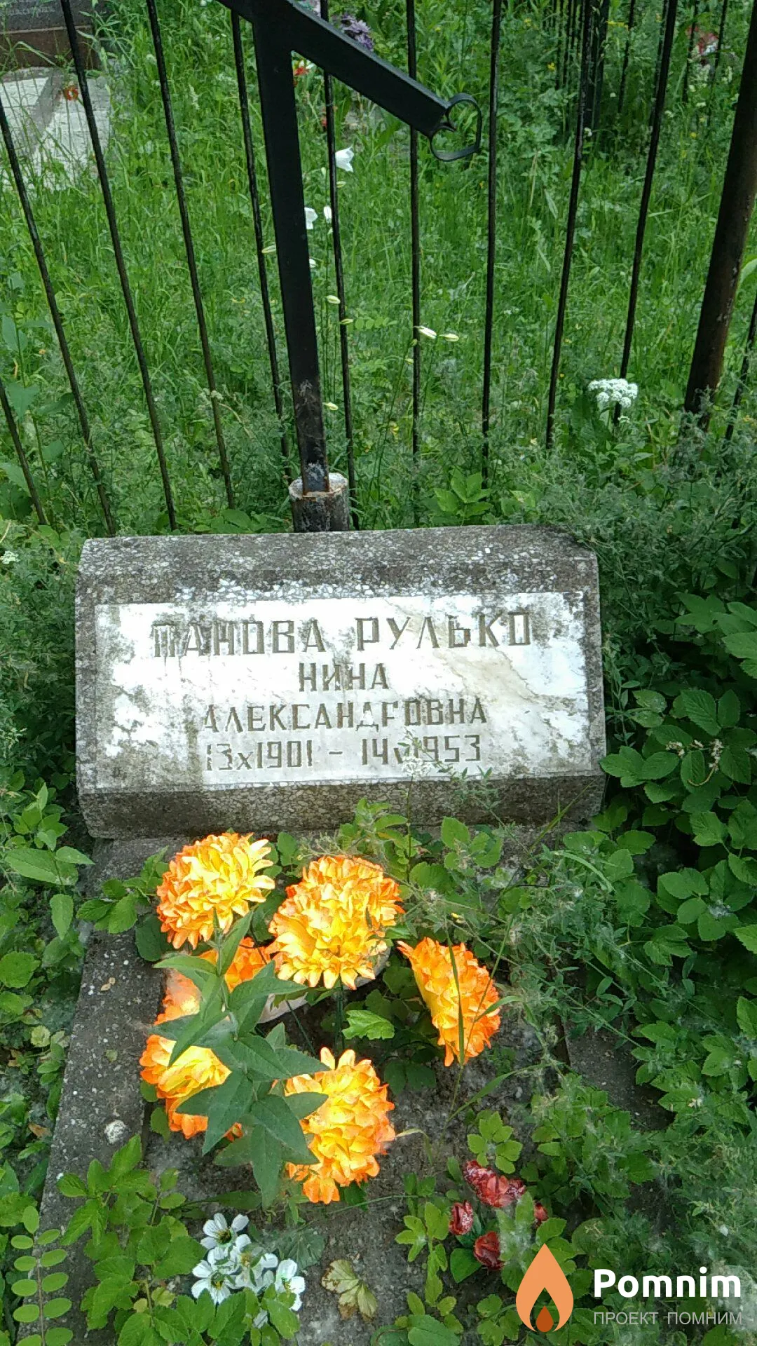 Панова-Рулько Нина Александровна