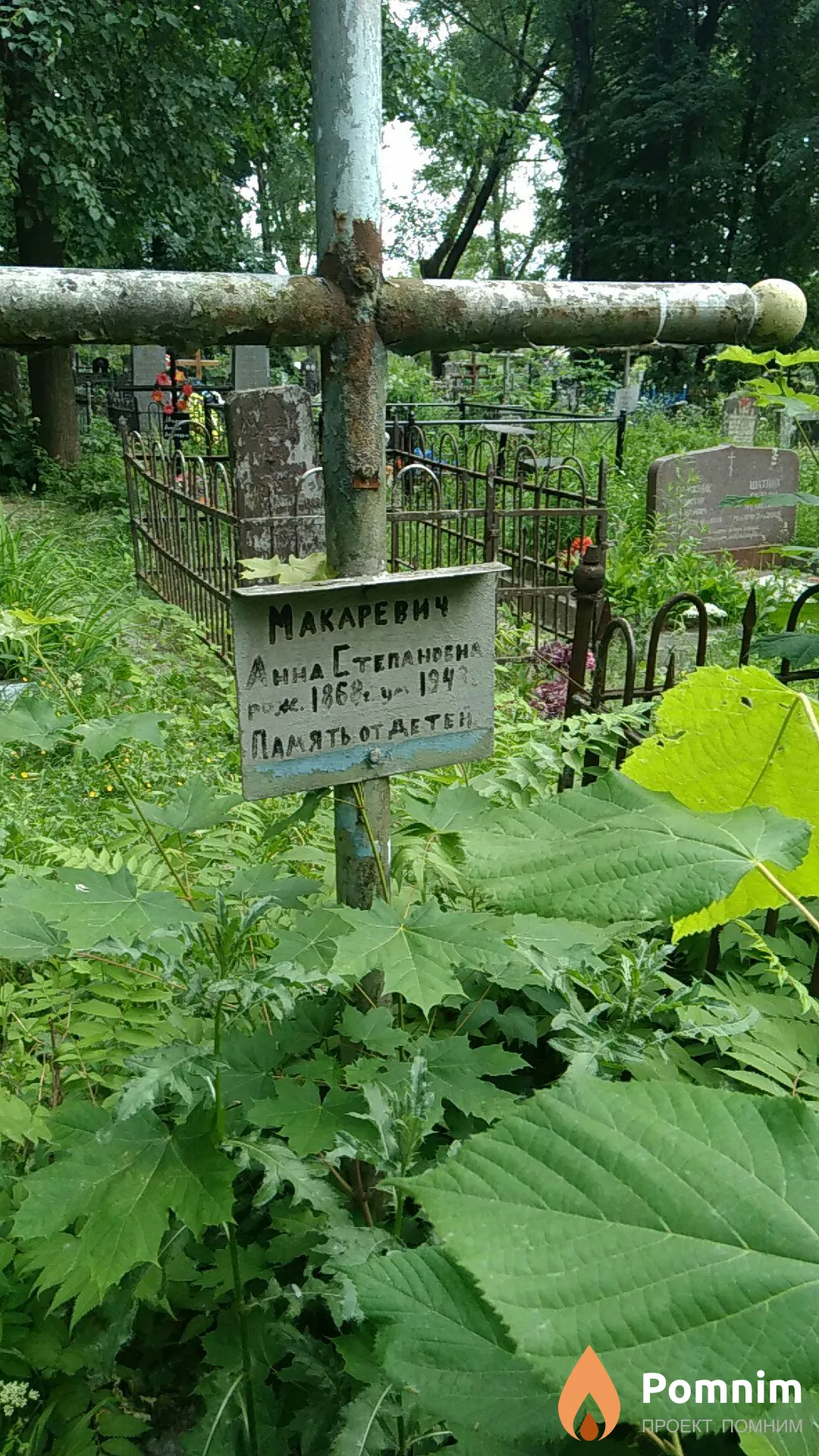 Макаревич Анна Степановна