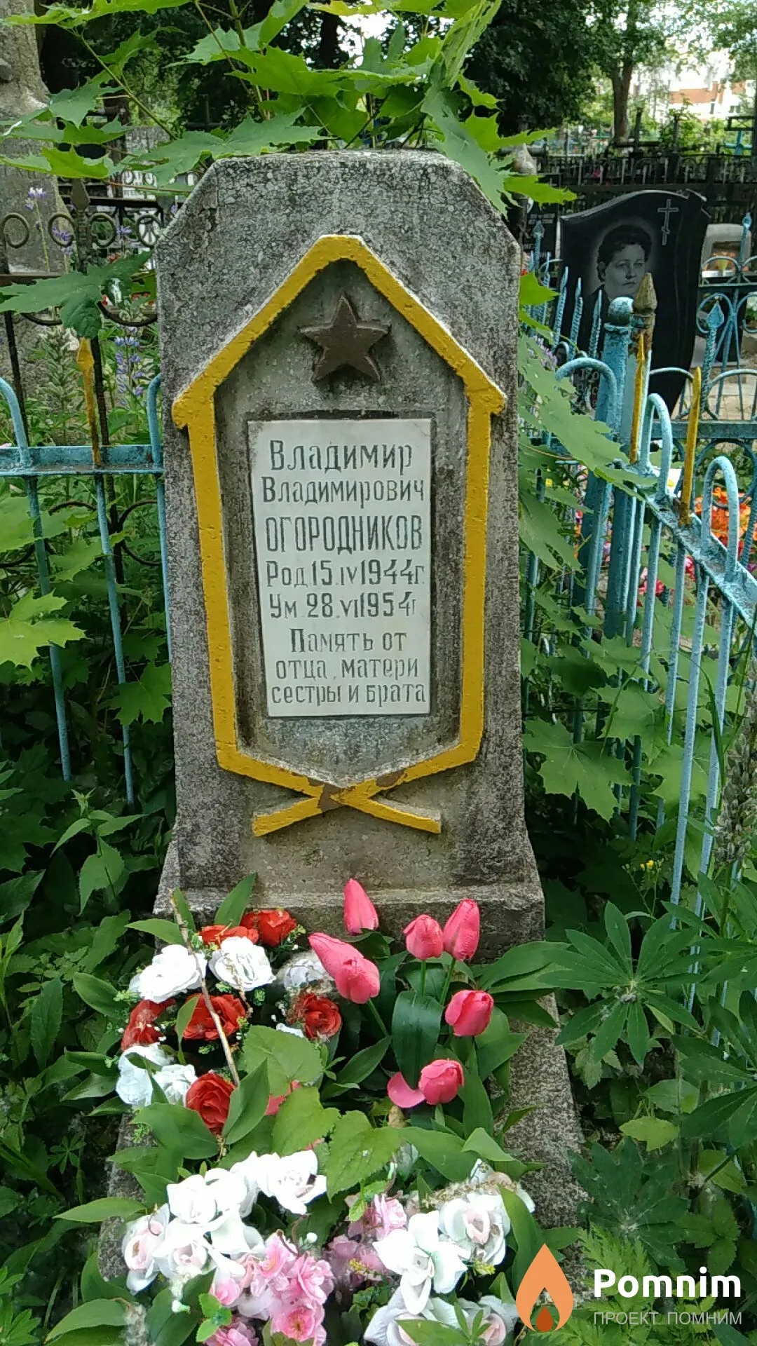 Огородников Владимир Владимирович