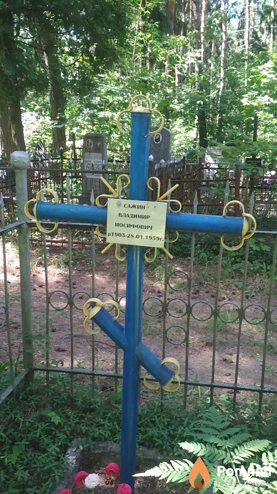 Сажин Владимир Иосифович