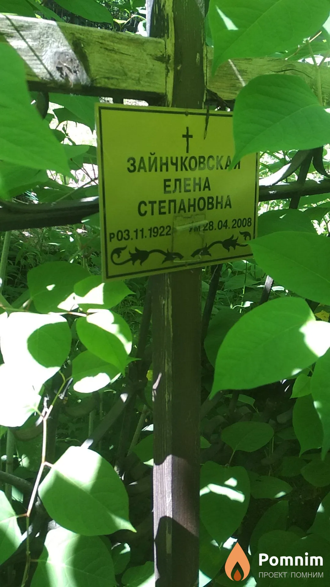 Зайнчклвскпя Елена Степановна