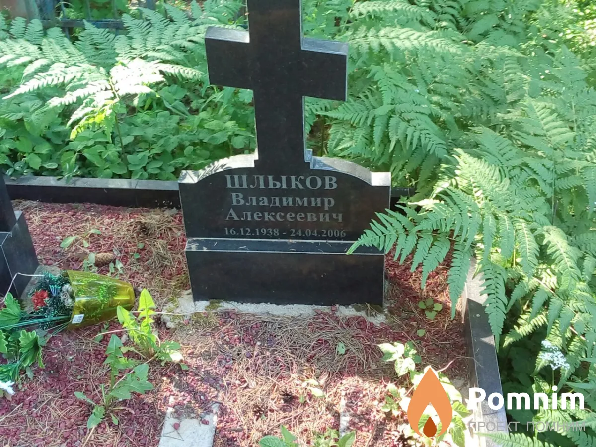 Шлыков Владимир Алексеевич