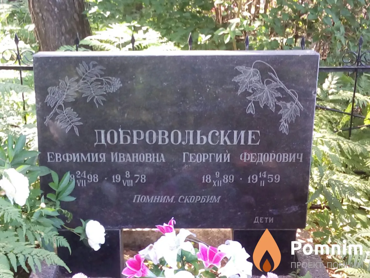 Добровольский Георгий Федорович