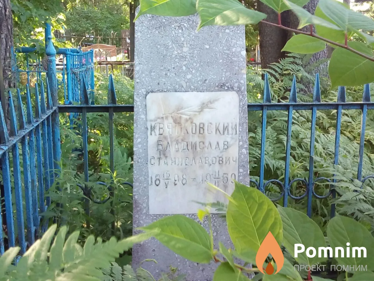 Квягковский Владислав Станиславович