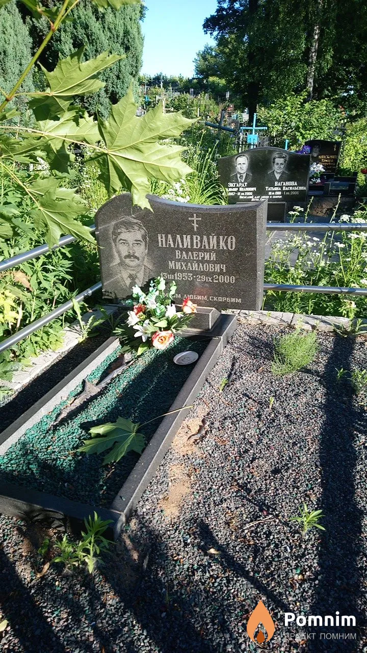 Наливайко Валерий Михайлович