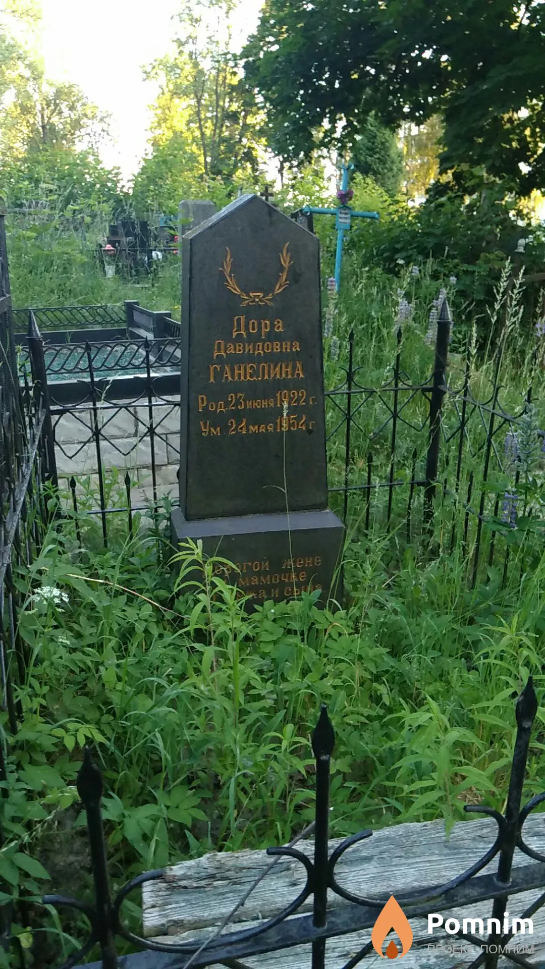 Ганелина Дора Давидовна