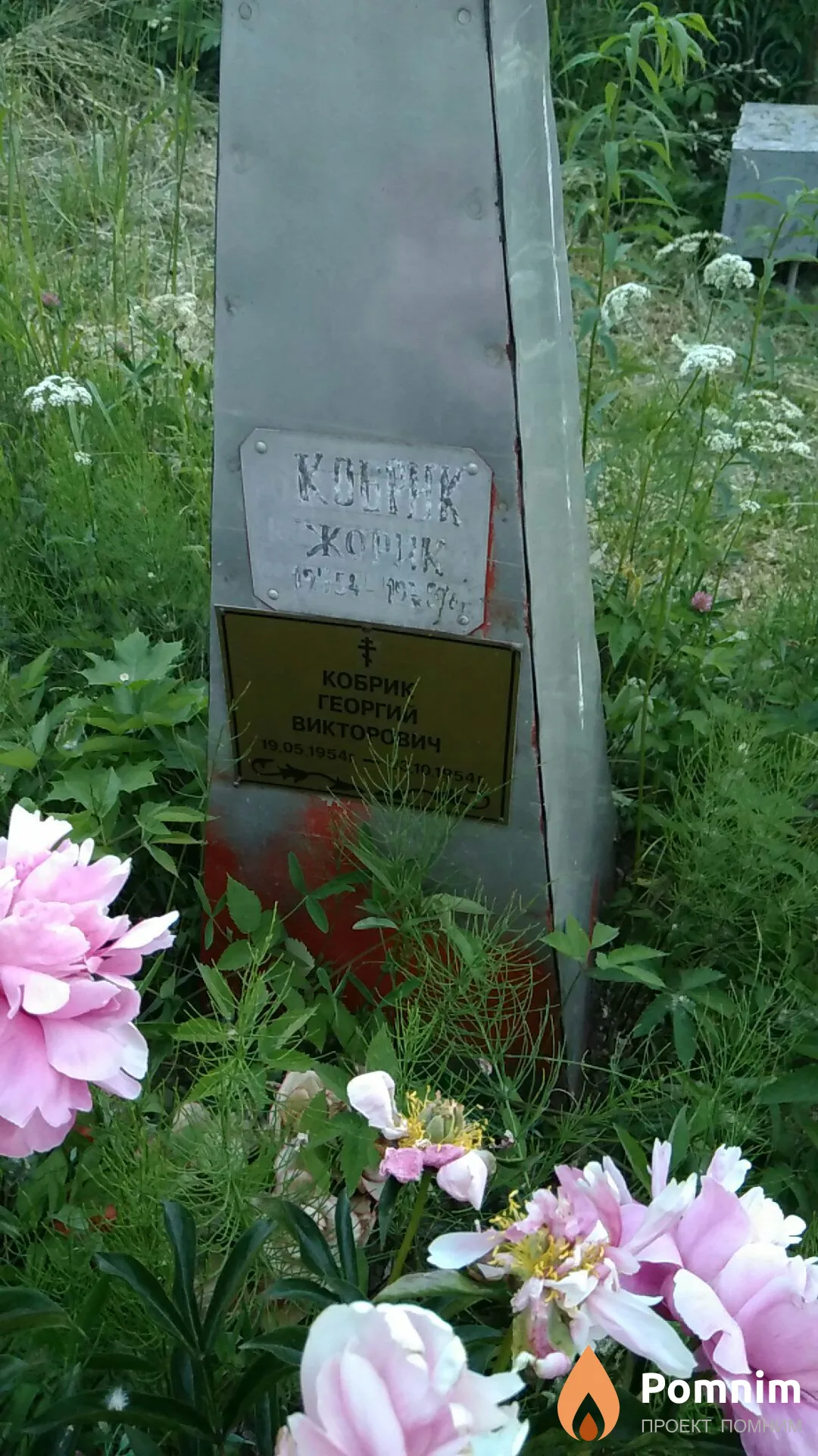 Кобрик Георгий Викторович