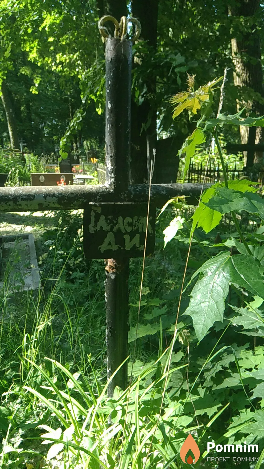 Гарасик Д И