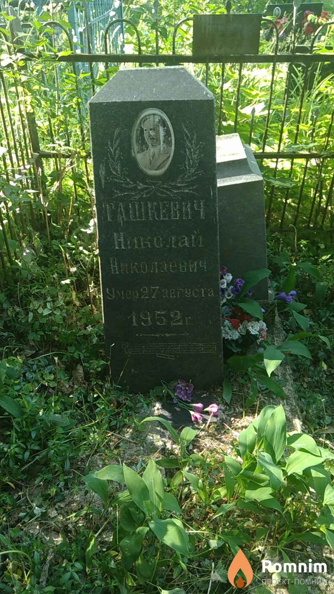 Ташкевич Николай Николаевич