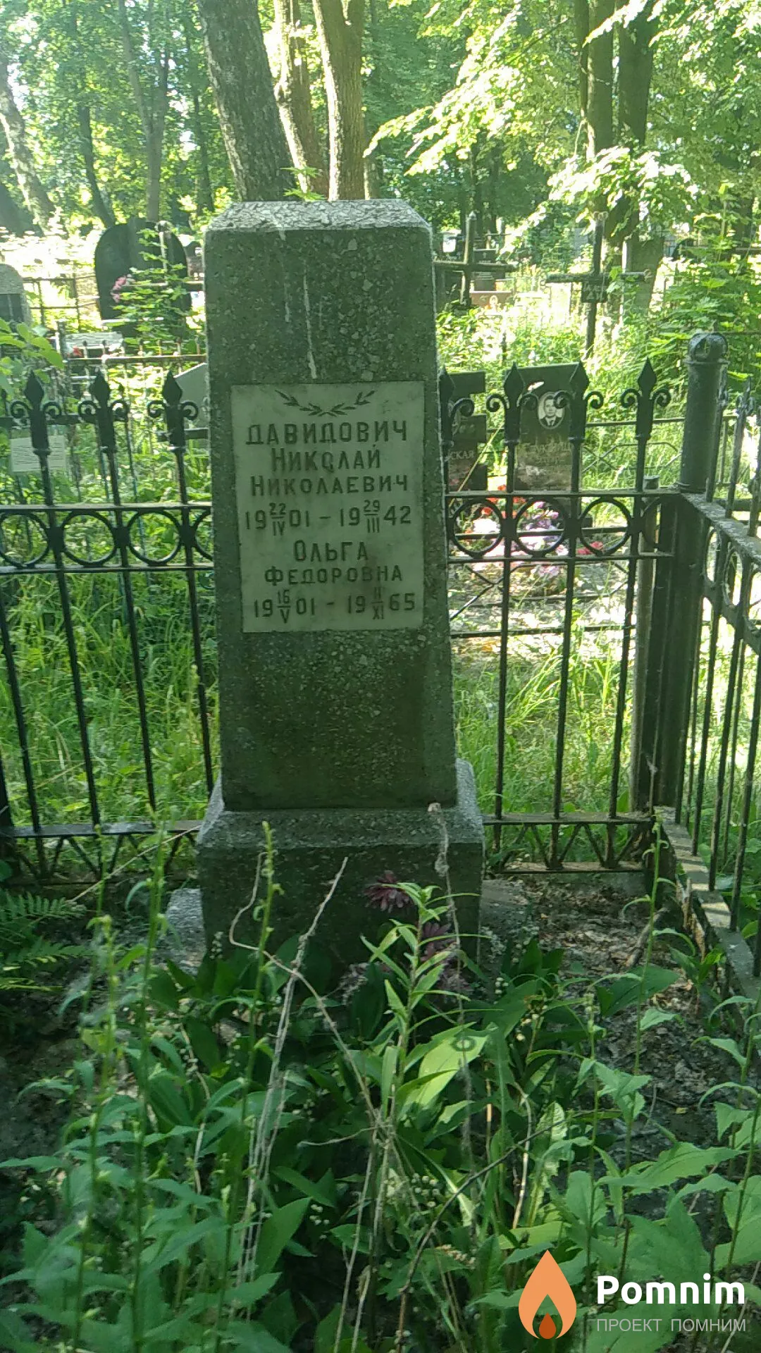 Давидович Николай Николаевич