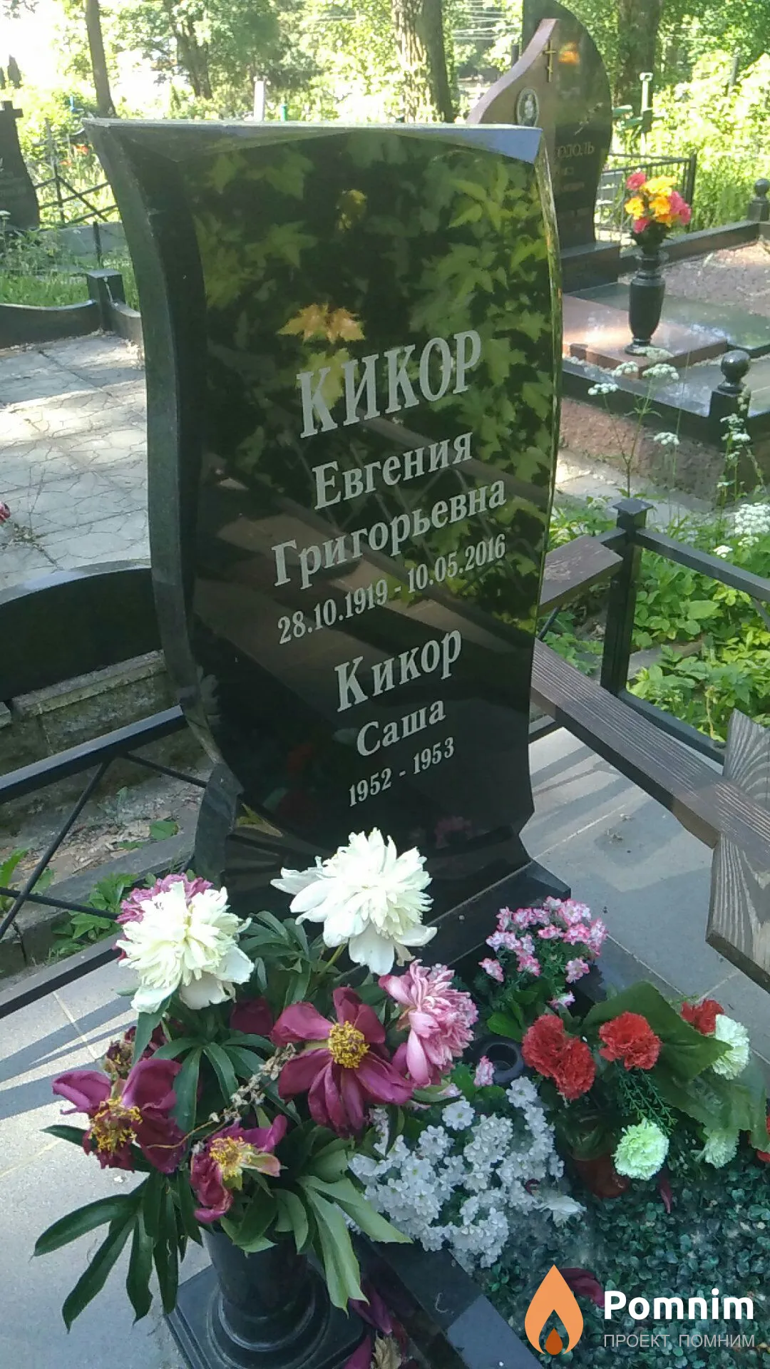 Кикор Саша