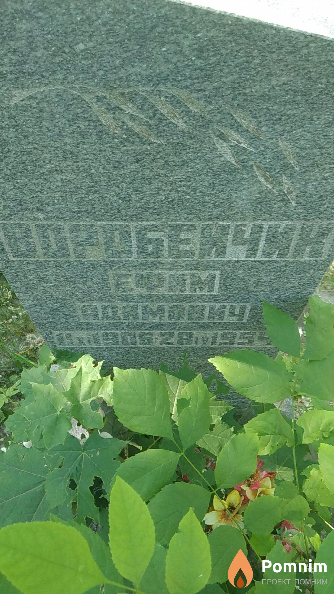 Воробейчик Ефим Адамович