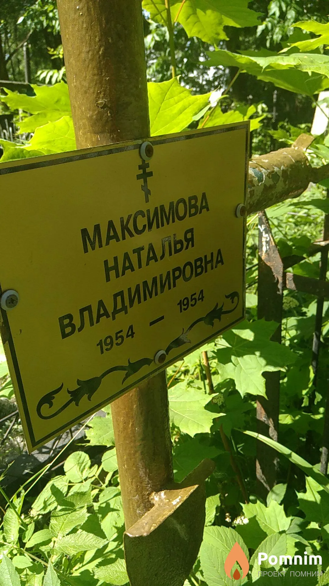 Максисова Наталья Владимировна