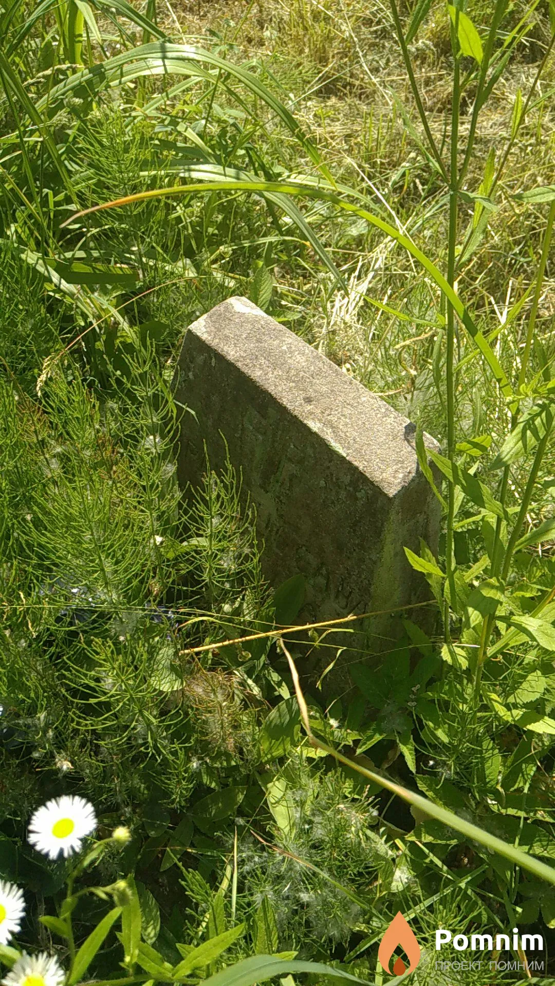 Неизвестно