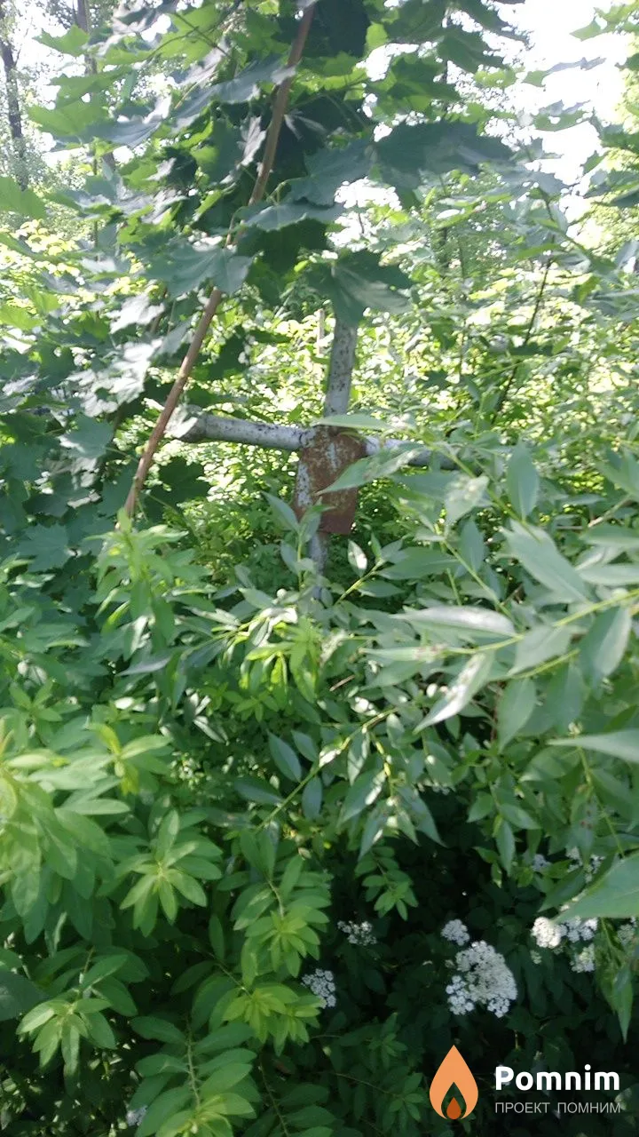 Неизвестно