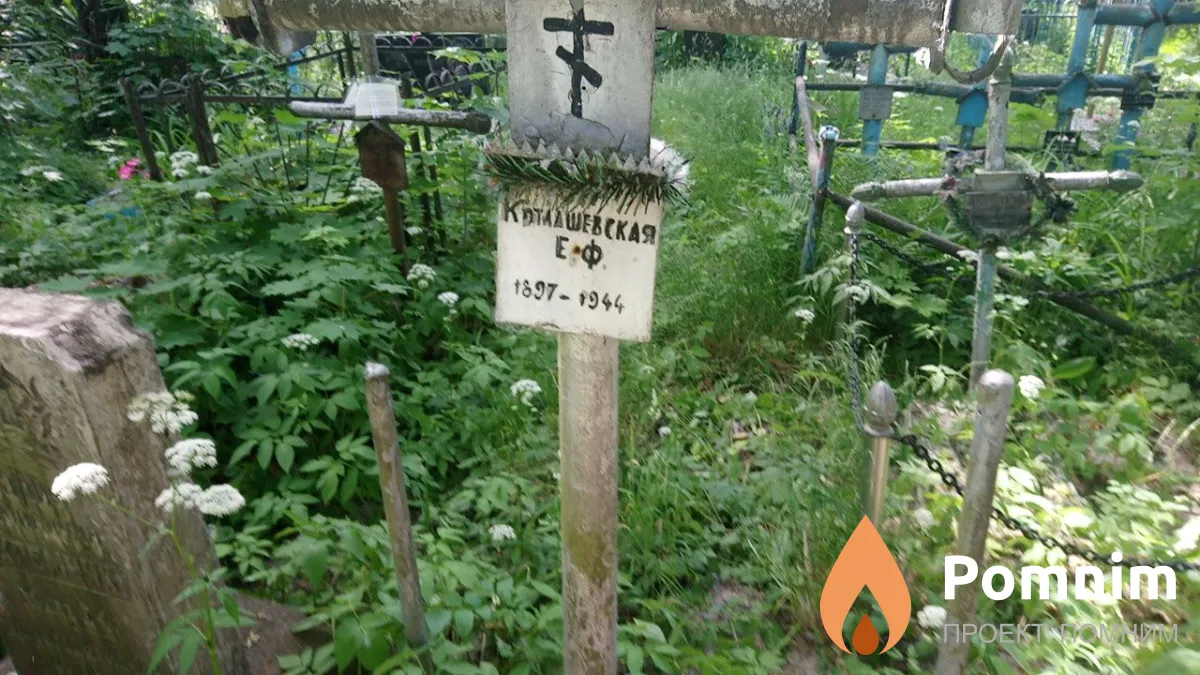 Котлашевская Е Ф