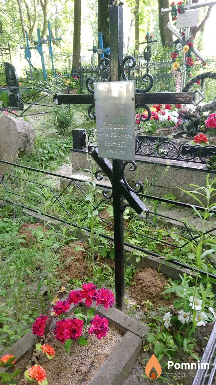 Дроздович Елена Степанович