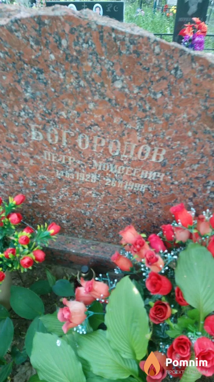 Богородов Петр Моисеевич