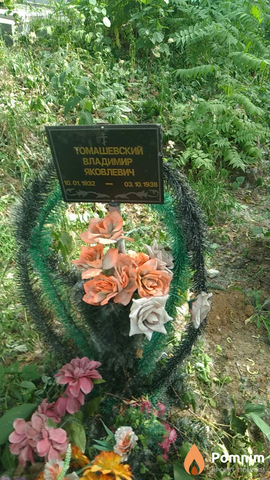 Томашевский Владимир Яковлевич