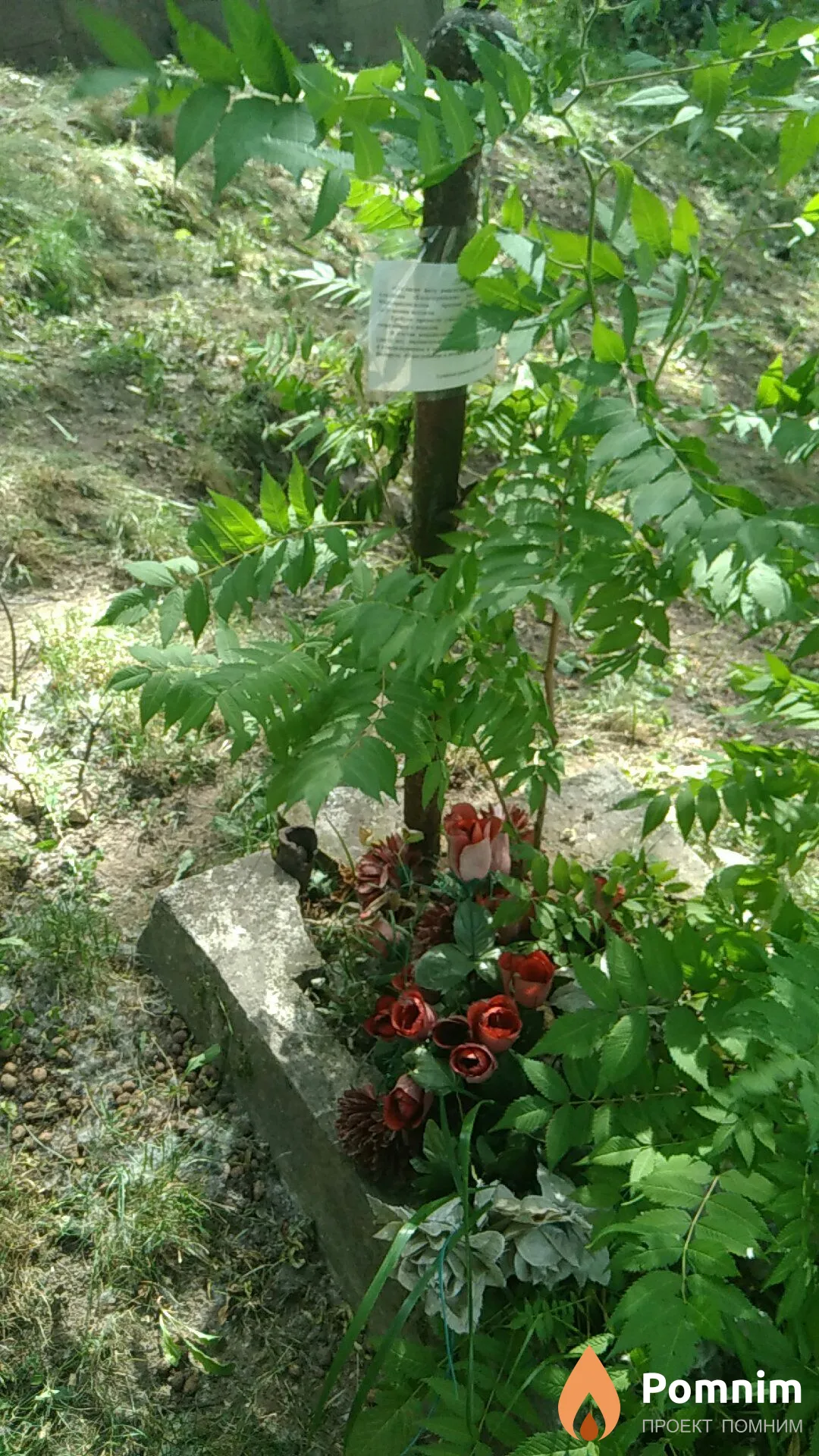Неизвестно