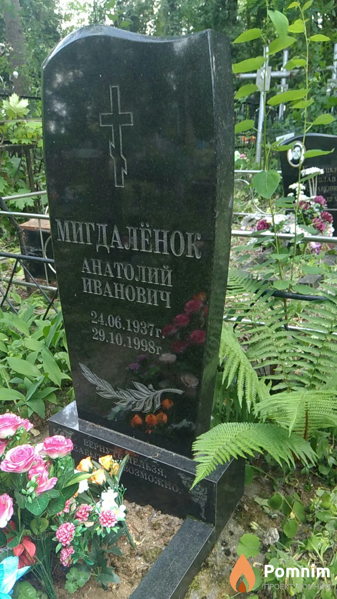 Мигдалёнок Анатолий Иванович