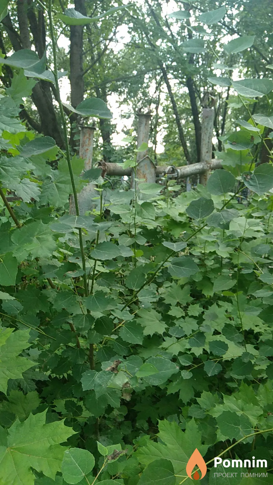 Неизвестно