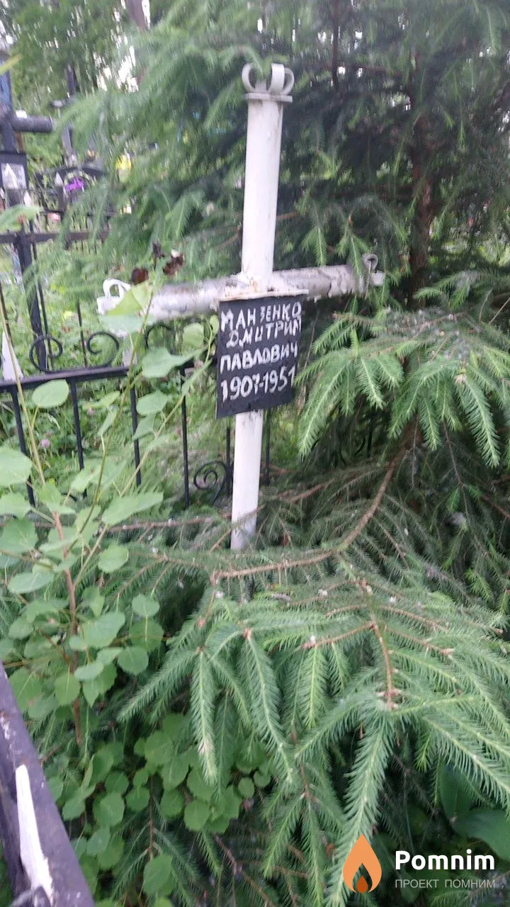 Манзенко Дмитрий Павлович