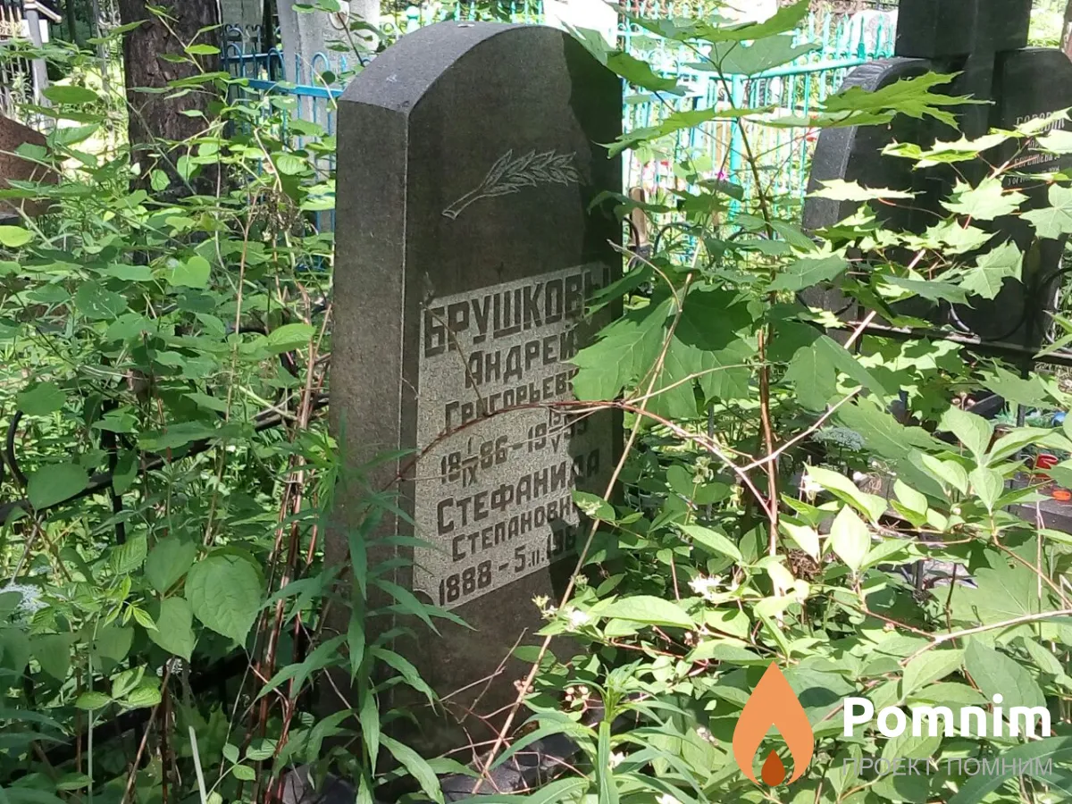 Брушков Андрей Григорьевич