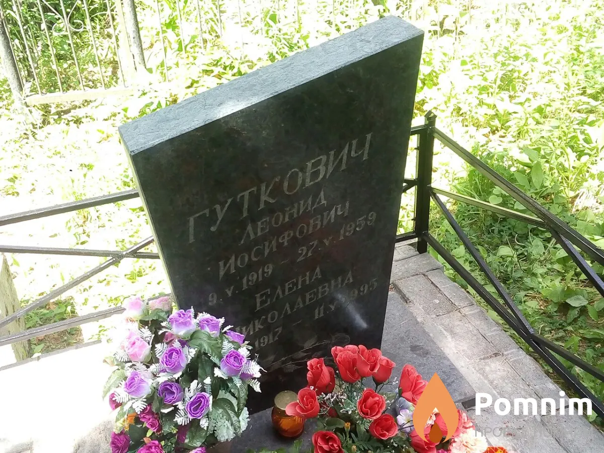 Гуткович Елена Николаевна