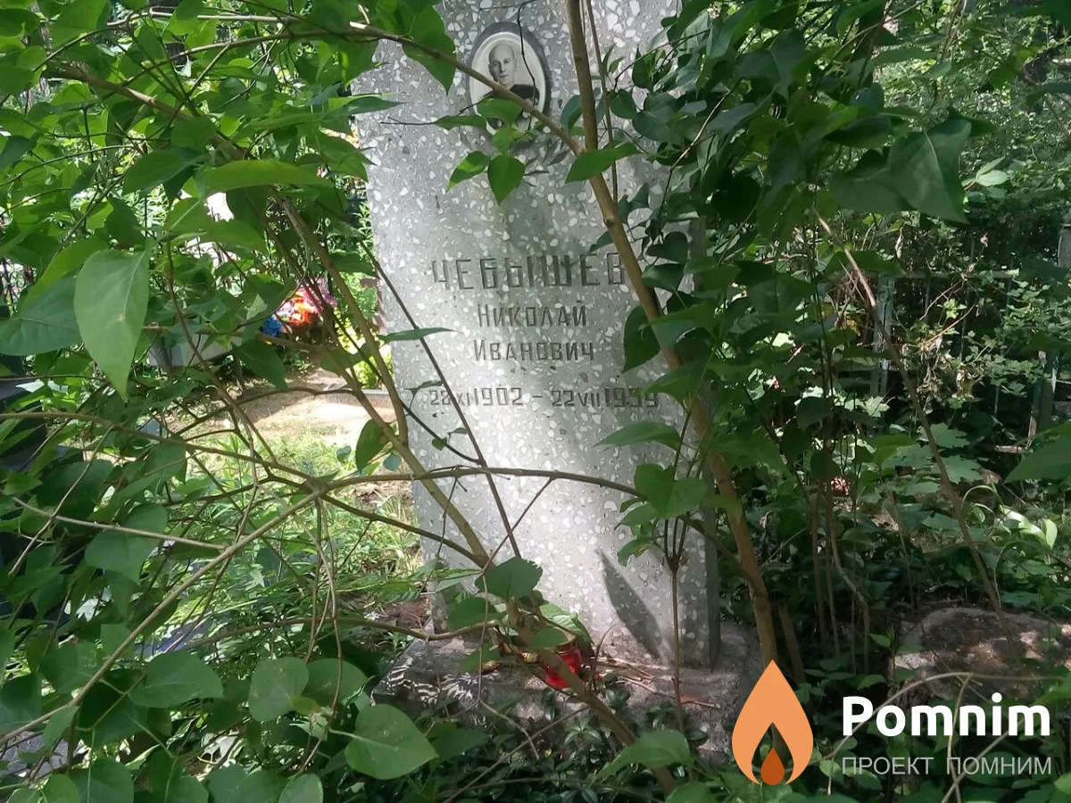 Чебышев Николай Иванович