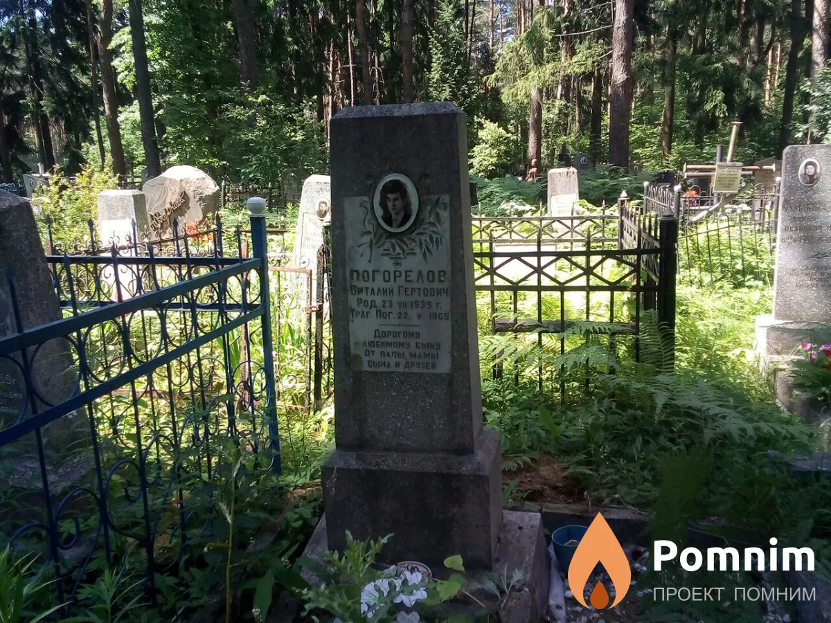 Погорелов Виталий Гертович