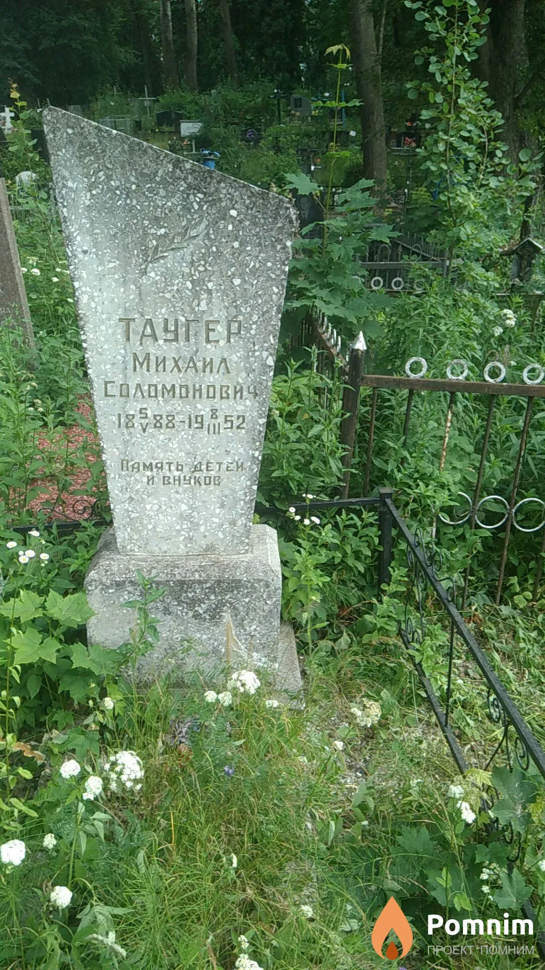 Таугер Михаил Соломонович