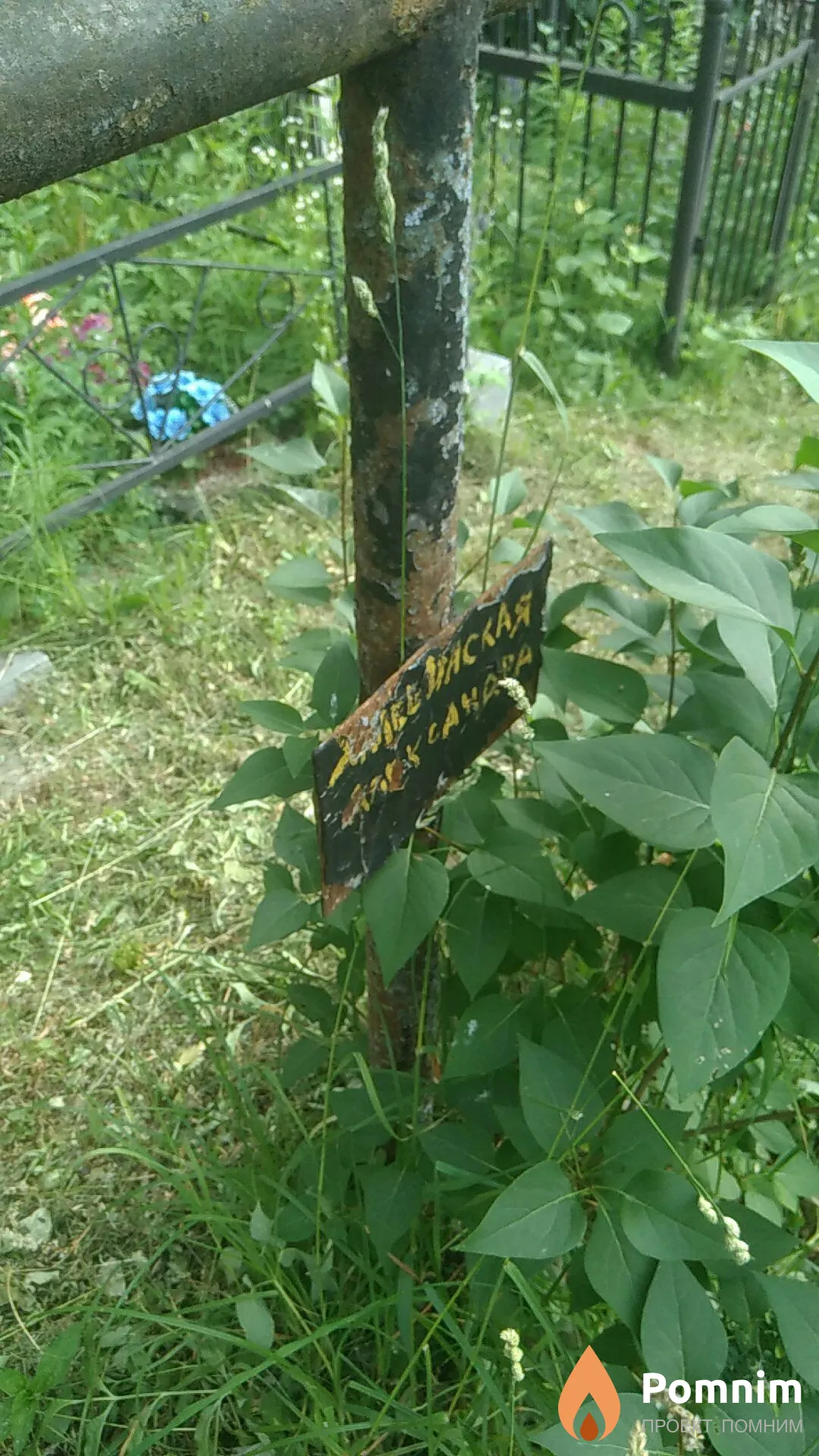 Неизвестно