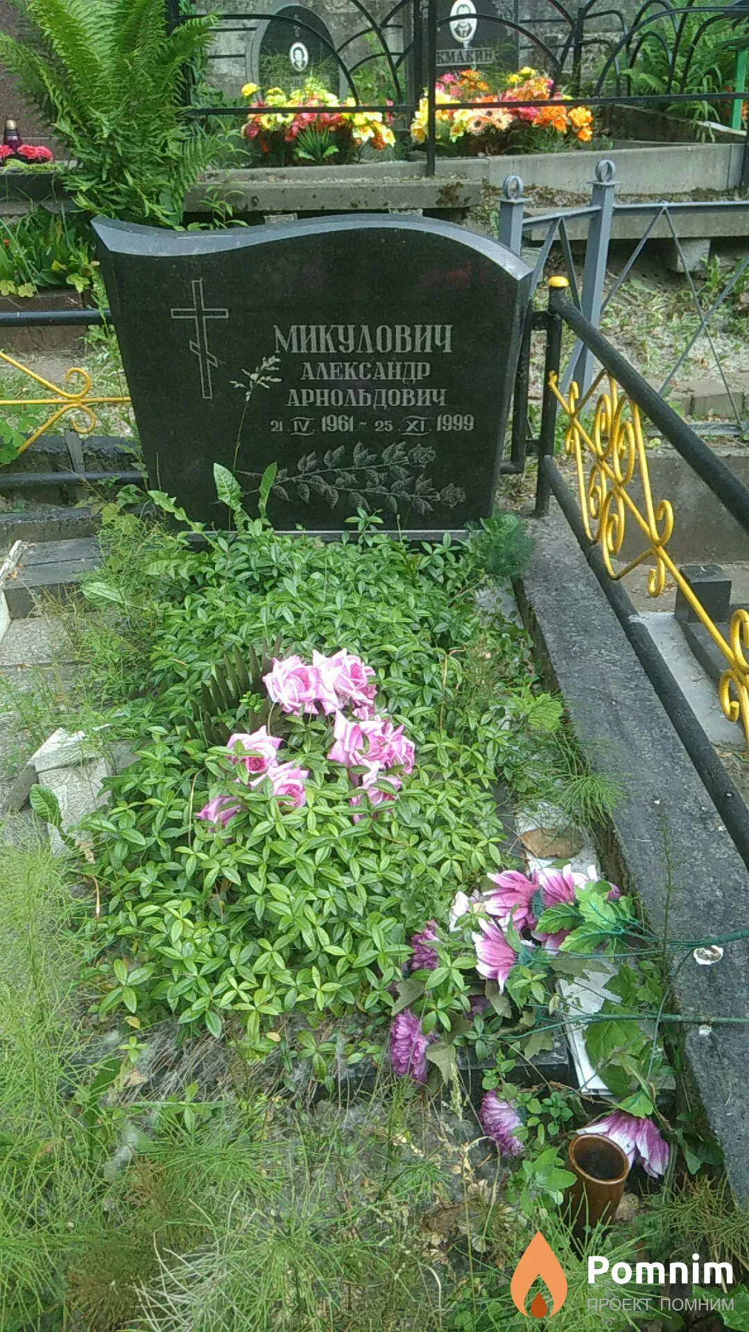 Микулович Александр Арнольдович