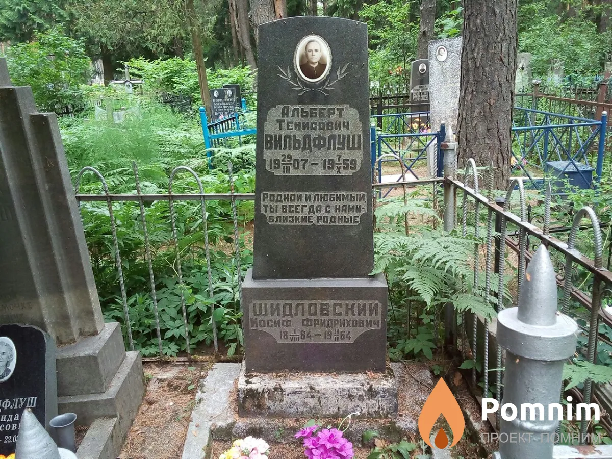 Вильдфлуш Альберт Тенисович