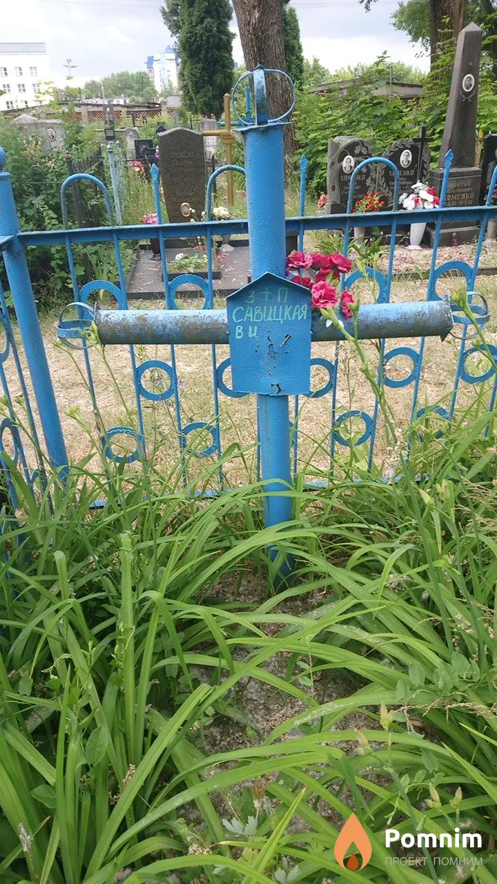 Савицкая В И