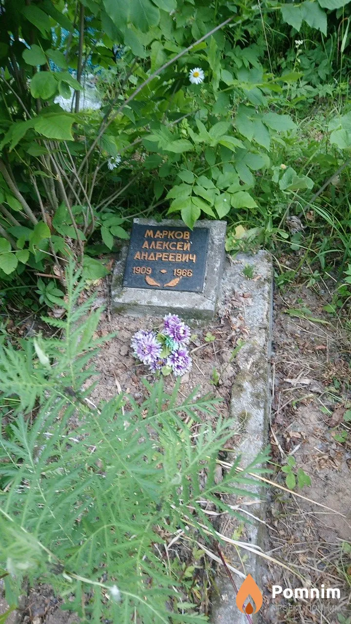 Марков Алексей Андреевич