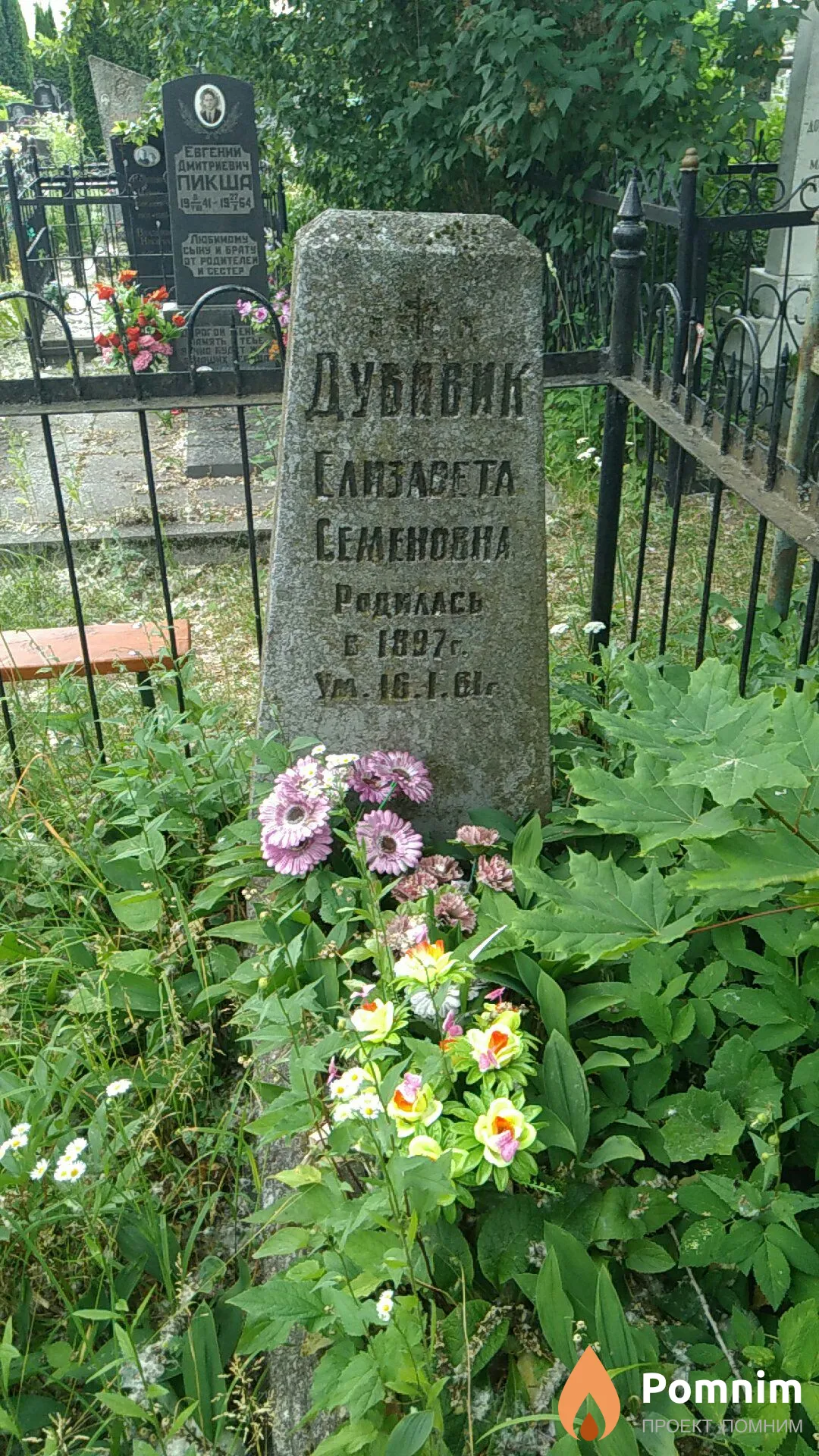 Дубовик Елизавета Семеновна