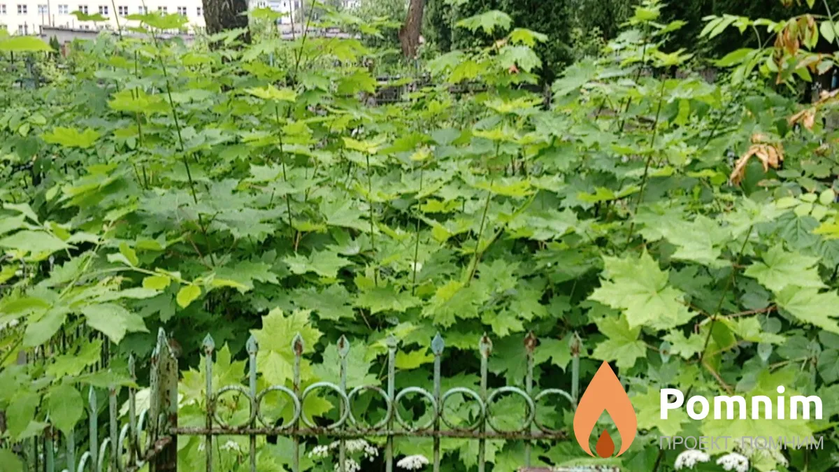 Неизвестно
