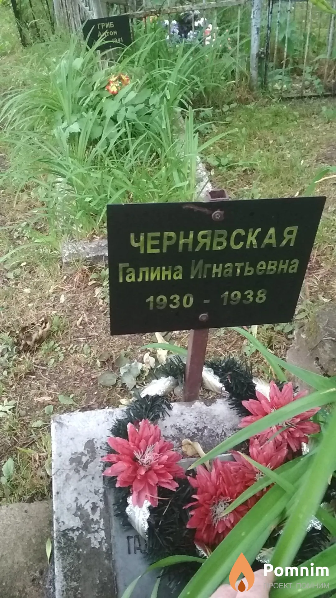 Чернявская Галина Игнатьевна