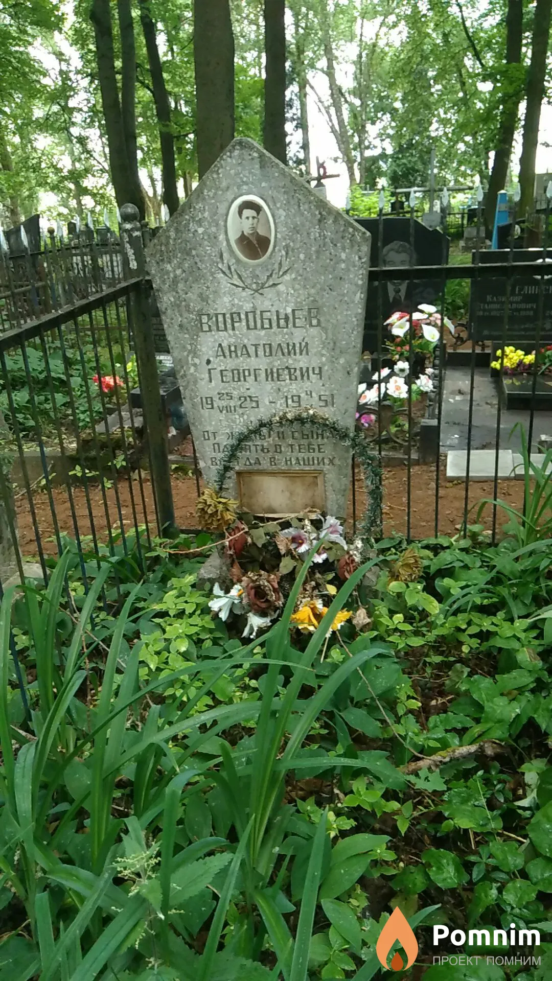 Воробьев Анатолий Георгиевич