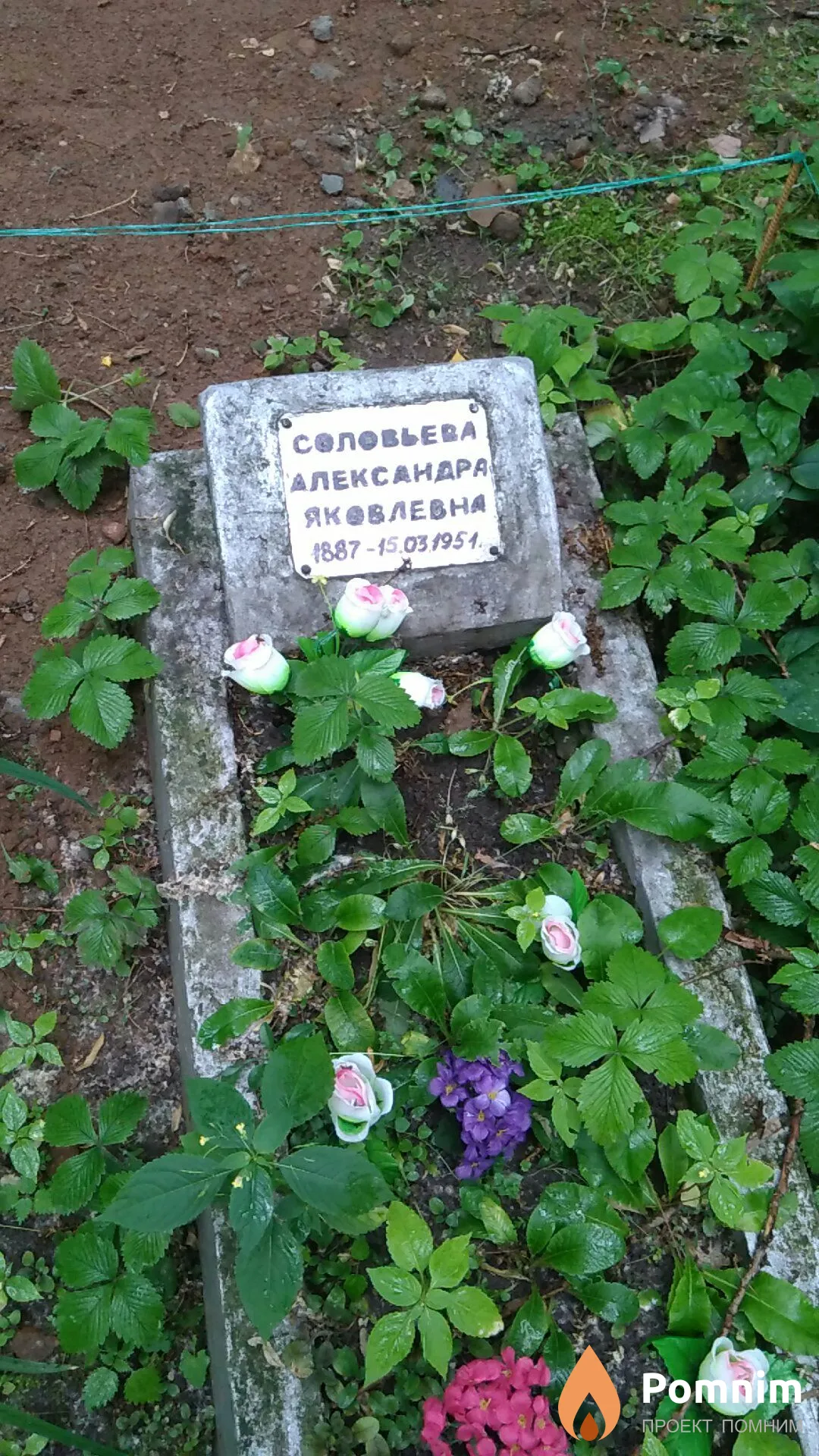 Соловьева Александра Яковлевна